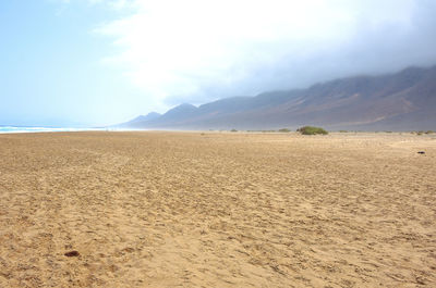 Scenic view of desert against sky