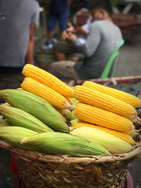 Corn of life. 