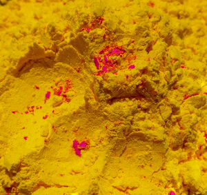 High angle view of flowering plants on beach