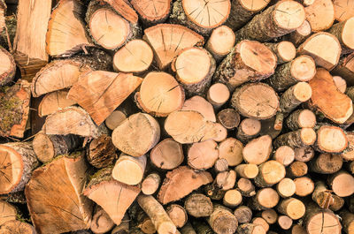 Full frame shot of logs in forest