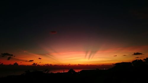 Silhouette of trees against sky during sunset