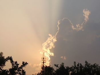 Low angle view of silhouette trees against sky
