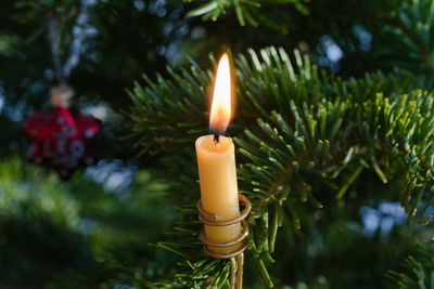 Close-up of illuminated christmas candle against blurred background.
