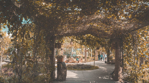 Road amidst trees in park