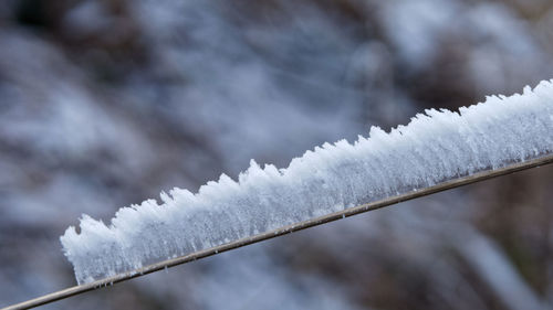 Close-up of frozen metal during winter