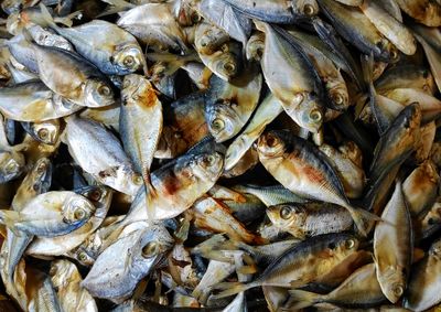 Full frame shot of fish for sale in market
