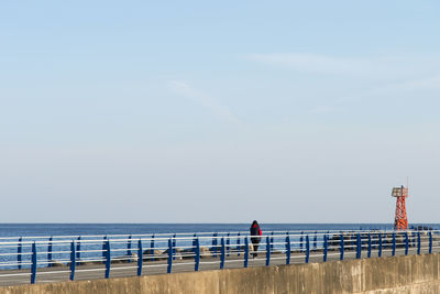 Rear view of men on beach against sky