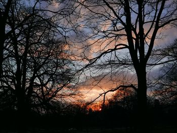 Low angle view of silhouette bare trees against sky