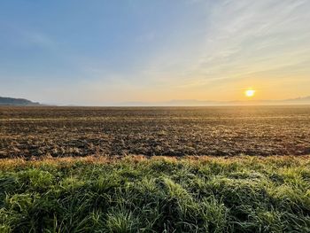 Scenic view of field against sky during sunset