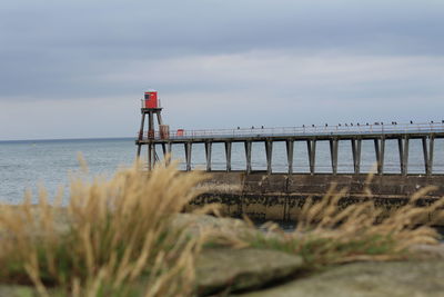 Pier over sea against sky