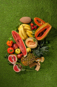 High angle view of fruits on grass