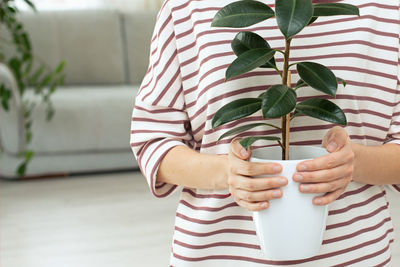 Midsection of woman holding potted plant