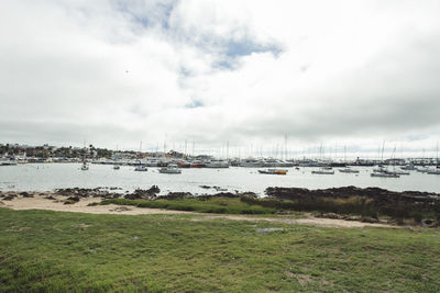 Boats moored at harbor