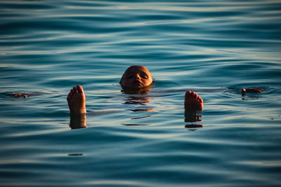 View of ducks swimming in sea