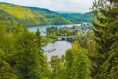 Scenic view of lake in forest against sky