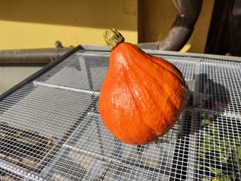 High angle view of orange pumpkins on metal