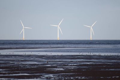 Wind turbines on beach against sky