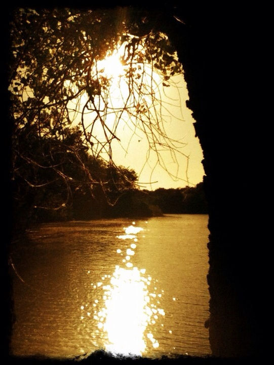 water, reflection, sun, tranquility, lake, tree, tranquil scene, sunset, scenics, silhouette, beauty in nature, sunlight, nature, river, waterfront, branch, sky, rippled, transfer print, idyllic