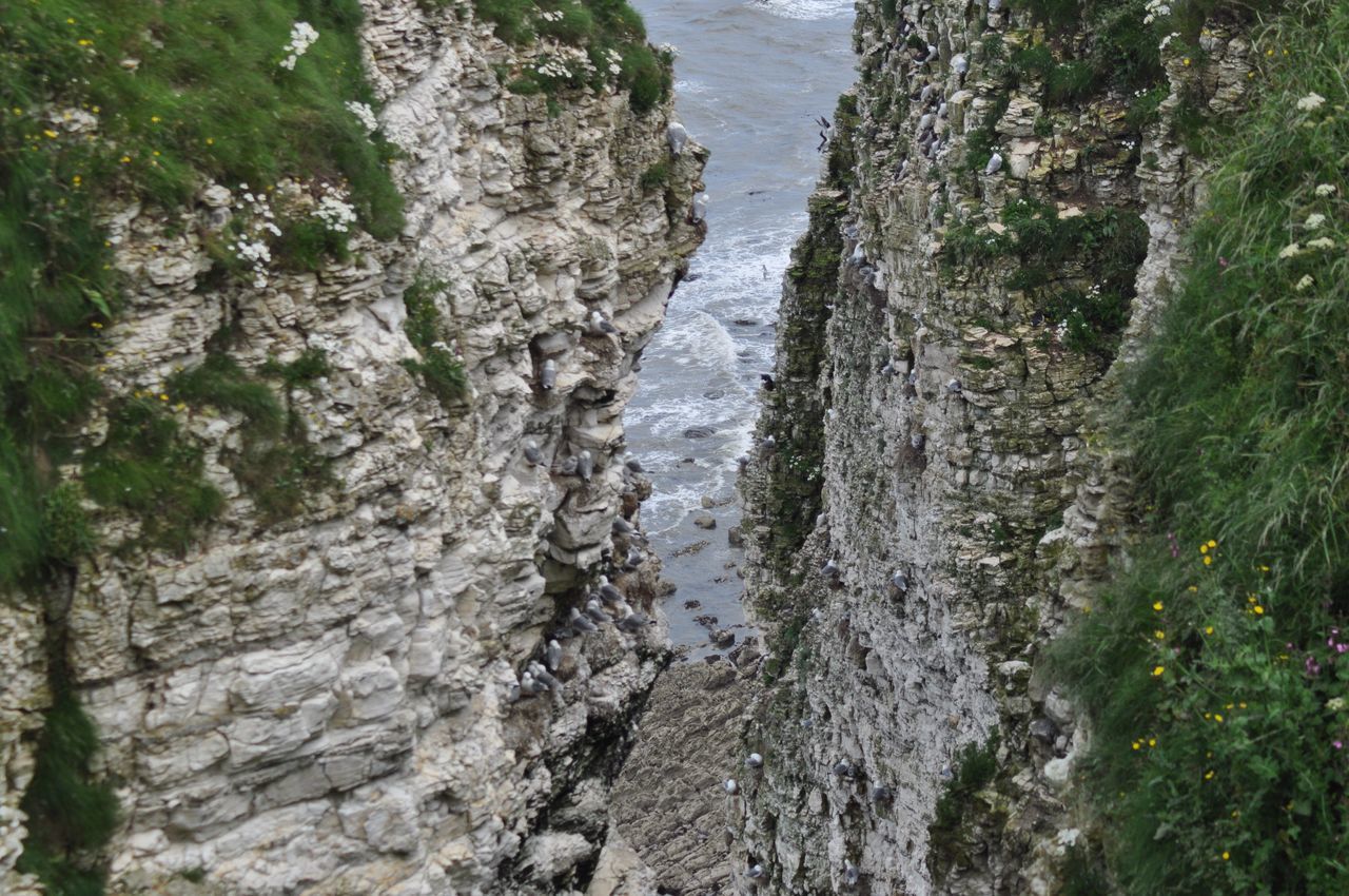 SCENIC VIEW OF WATERFALL