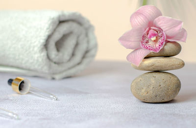 Close-up of pink and white flowers on table