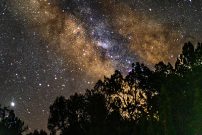 High angle view of trees against sky at night