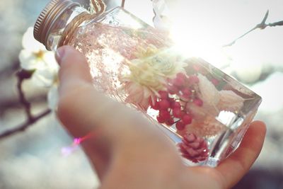 Close-up of flowers and water in bottle being held by person