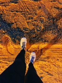 Low section of woman standing on sandy beach