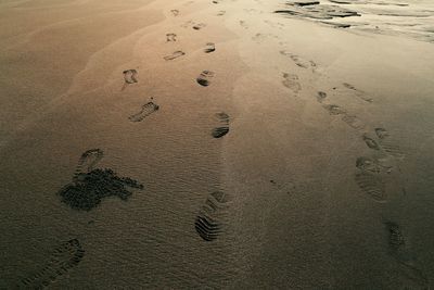 High angle view of footprints on sand at beach