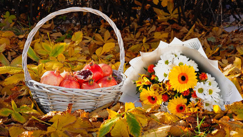 Close-up of fresh white flowers in basket