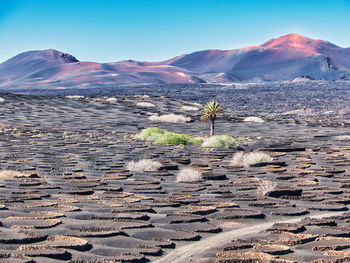 Scenic view of desert against sky