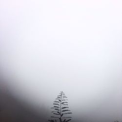 Snow against sky during winter