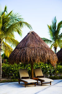 Palm trees on beach against clear sky