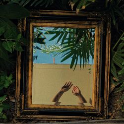 Shadow of woman lying on plant