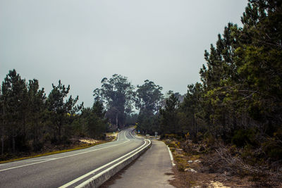Road amidst trees against sky