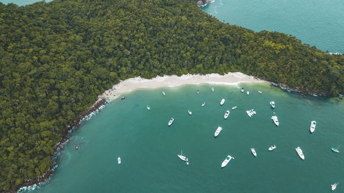 High angle view of sea and trees