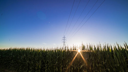 Scenic view of field against clear sky