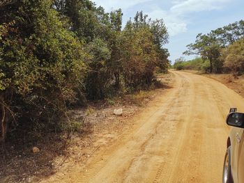 Dirt road amidst trees against sky