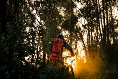 Rear view of woman with umbrella against trees