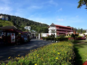 Houses by road amidst buildings against sky