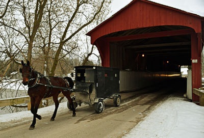 View of horse cart