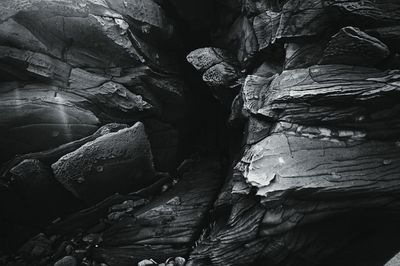 Full frame shot of tree trunk