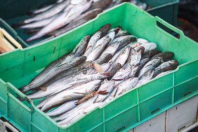 Freshly just caught cod or cods in plastic crates on a fishing wooden boat ready to be sold