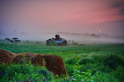 Scenic view of agricultural field against sky during sunset