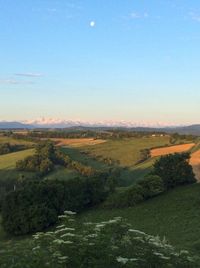 Scenic view of agricultural landscape against sky