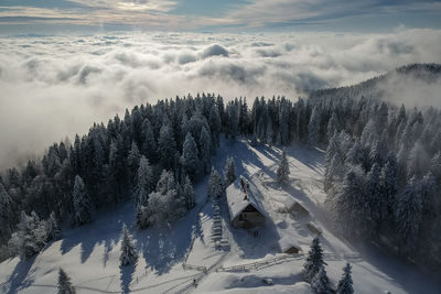 High angle view of snow covered land and trees against sky