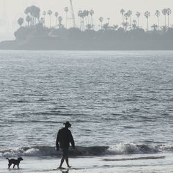 Rear view full length of man walking with dog on shore at beach