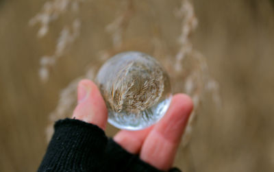 Close-up of woman hand