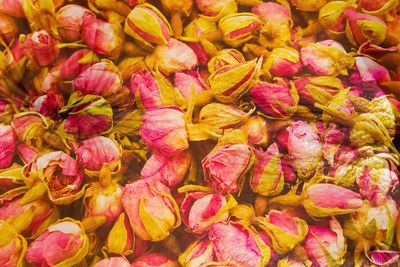 Full frame shot of pink flowers