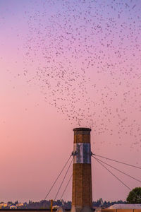 Low angle view of birds flying in sky