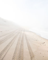 Tiretracks fade off into the distance on an isolated beach